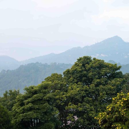 The Fern Surya Resort Kasauli Hills, Dharampur Exteriör bild